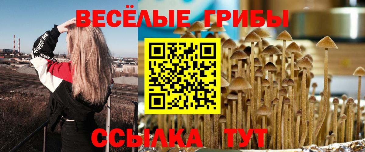 Псилоцибиновые грибы Magic Shrooms  Вход с VPN  Галлюциногенные грибы прущие грибы  Павлово 